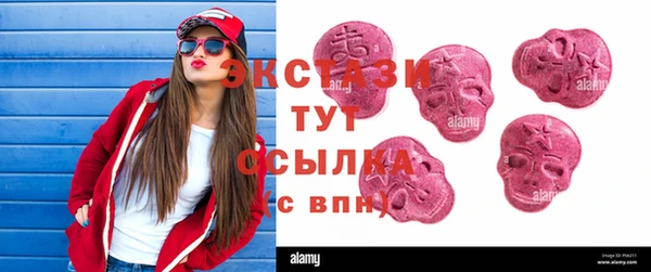 индика Беломорск