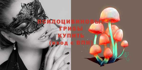 хмурый Белокуриха