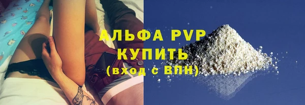индика Беломорск