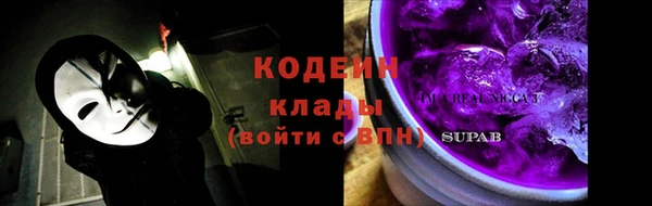 индика Беломорск