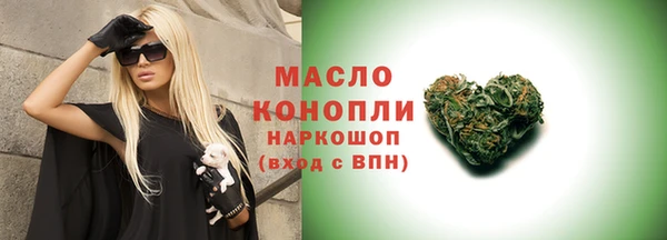 индика Беломорск