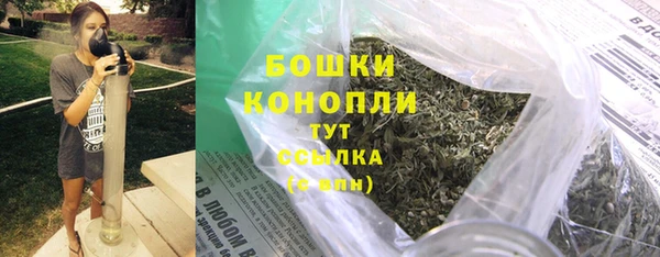 индика Беломорск