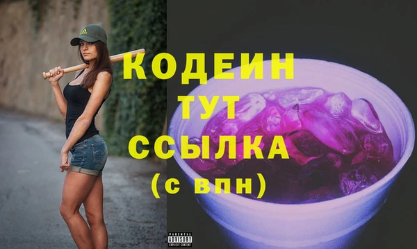 хмурый Белокуриха
