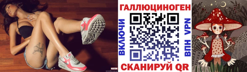 продажа наркотиков  Куровское  Псилоцибиновые грибы Psilocybine cubensis 